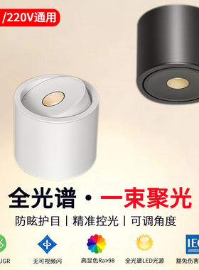 聚光射灯博物馆茶室餐桌小光束灯