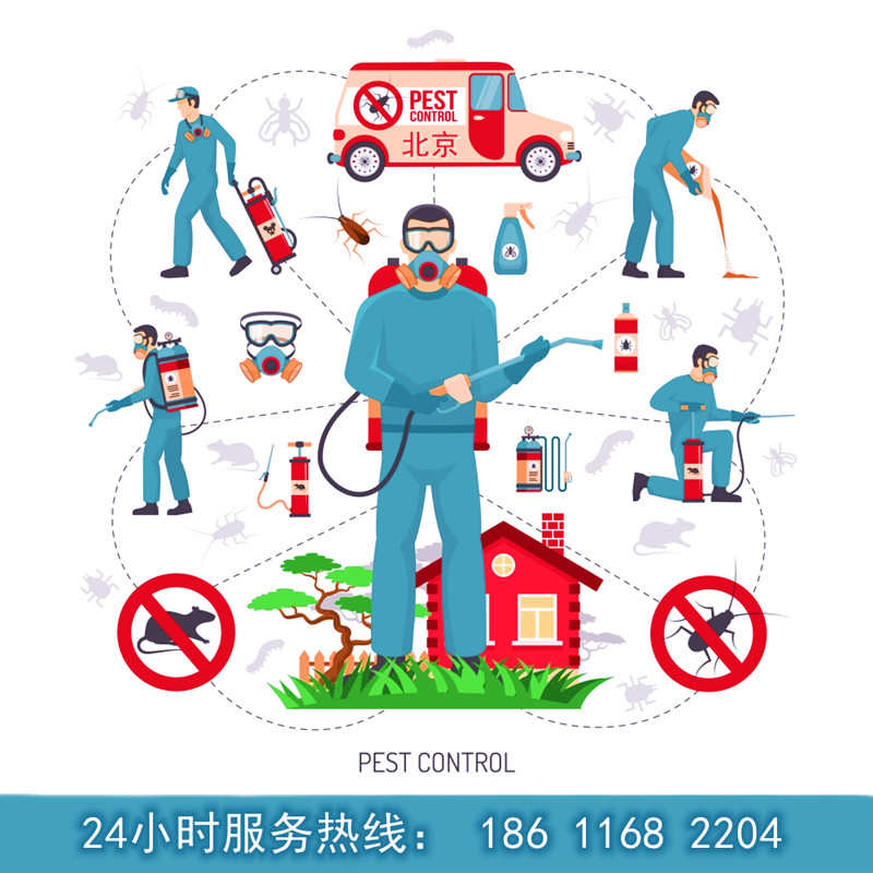 北京杀虫公司专业上门灭蟑螂捕鼠除老鼠蚂蚁跳蚤白蚁家庭灭虫服务