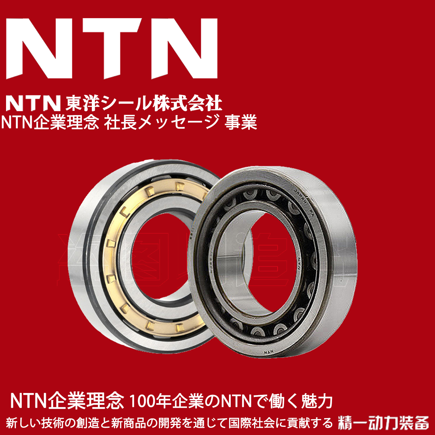 NTN日本轴承NJ303 304 305 306 307 308 309 310 311 312EW EM ET
