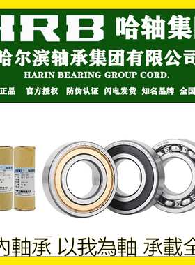 HRB哈尔滨轴承6310 6311 6312 6313 63142Z 2RZ/P5深沟球电机水泵