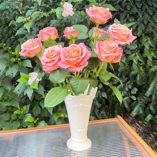 精细浮雕法式 原创设计 水培鲜花铃兰贴花玫瑰陶瓷花瓶 皇冠 Daria