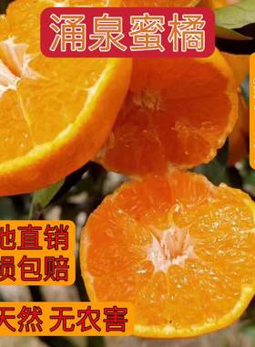 正宗临海涌泉蜜桔橘子黄岩桔子