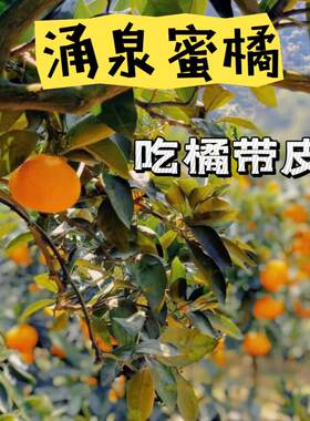 涌泉蜜桔临海蜜桔正宗涌泉高山桔