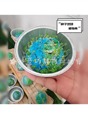 种子地球diy材料世界地球日幼儿园植物角环创保主题创意手工作品