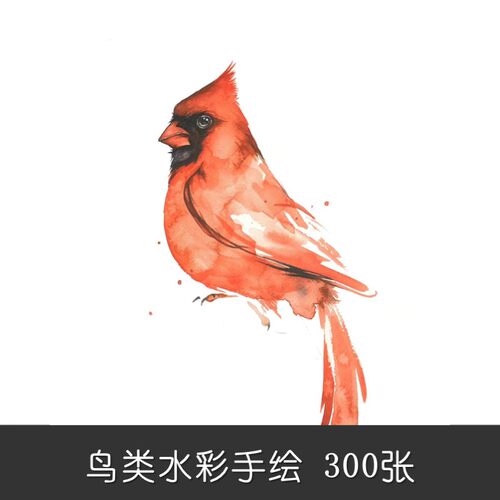 m299鸟儿手绘艺术素材设计素材水彩300张鸟类动物贴纸装饰画个性