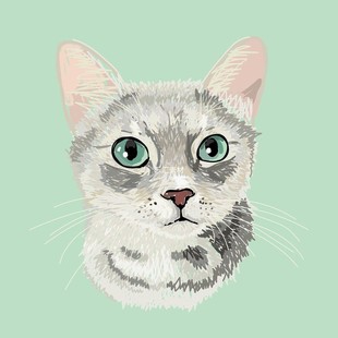 m521猫咪板绘画画临摹素材喵星人可爱猫咪头像画像插画图片素材