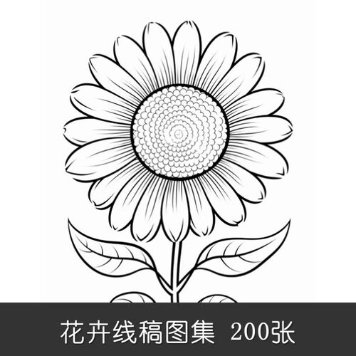 D898手绘线稿图200张设计素材插画向日葵花卉图案艺术素材黑白图