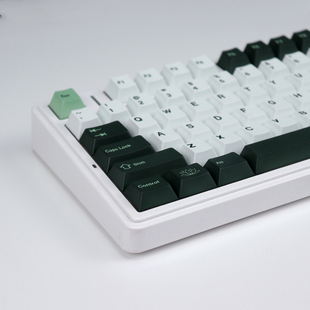 GMK Botanical植物园键帽樱桃原厂高度PBT五面热升华机械键盘全套