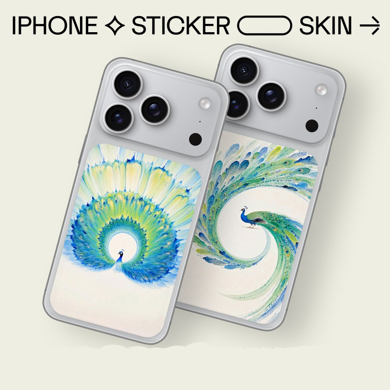 昂齐 iPhone手机贴纸孔雀羽毛图案创意个性装饰贴膜温柔系文艺