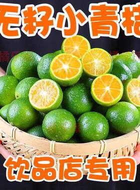 无籽小青桔】新鲜青桔奶茶店专用无籽小青柑非金桔小柠檬酸水果茶