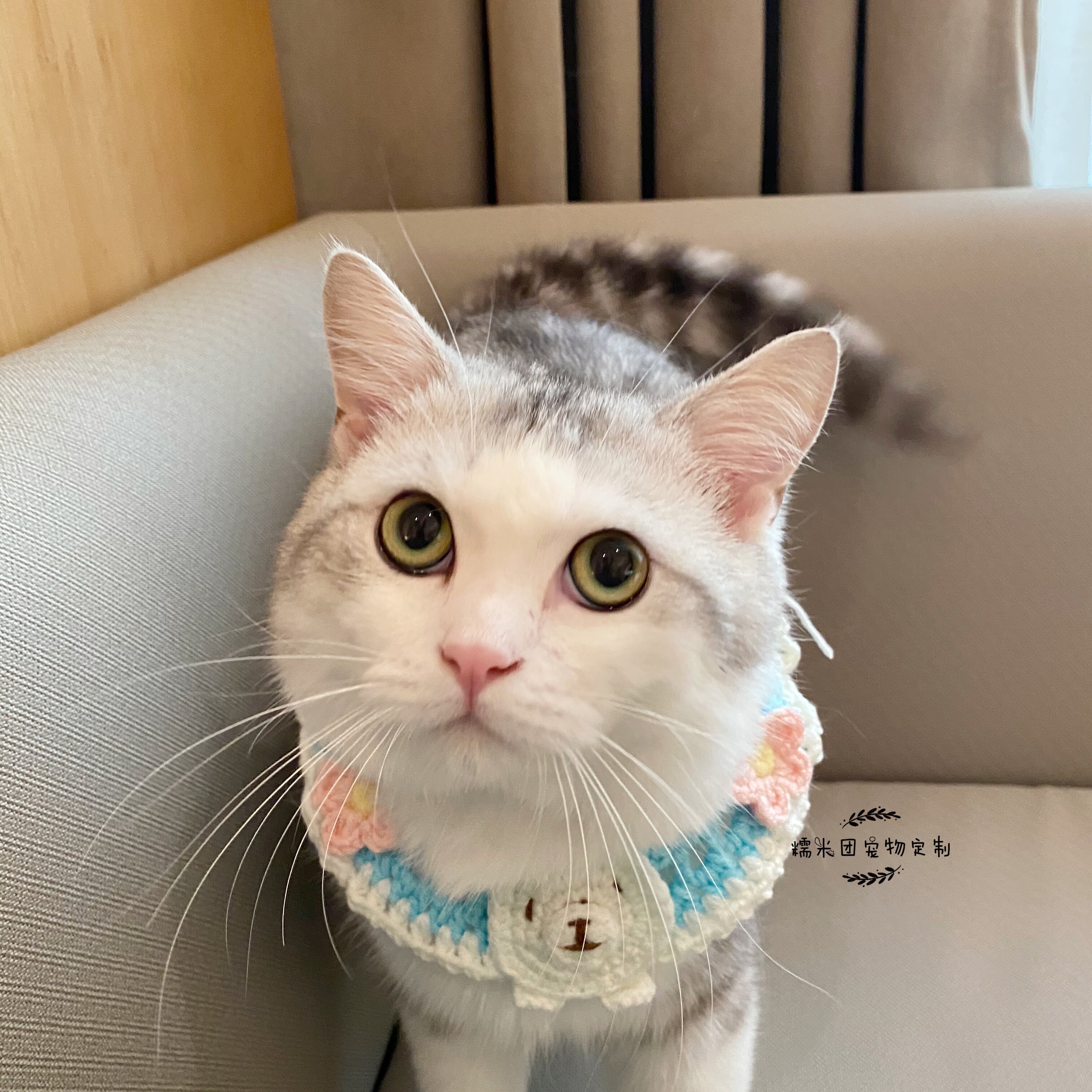 包邮新品手工毛线宠物围脖围嘴狗狗口水巾短毛长毛猫咪大型犬通用