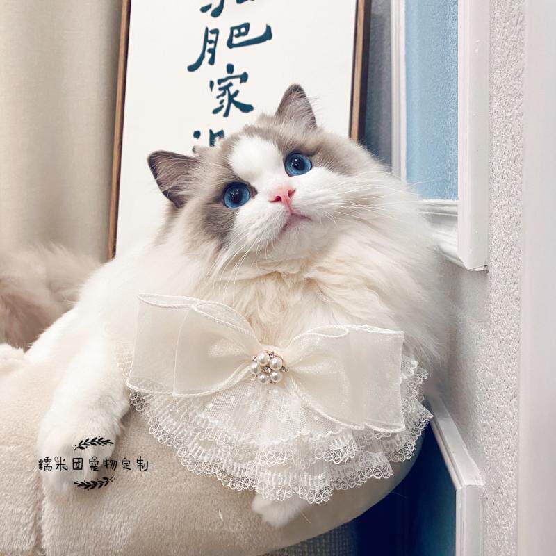 新品奢华纯色猫咪网纱蝴蝶结蓝白渐层布偶婚纱派对装饰狗狗领结