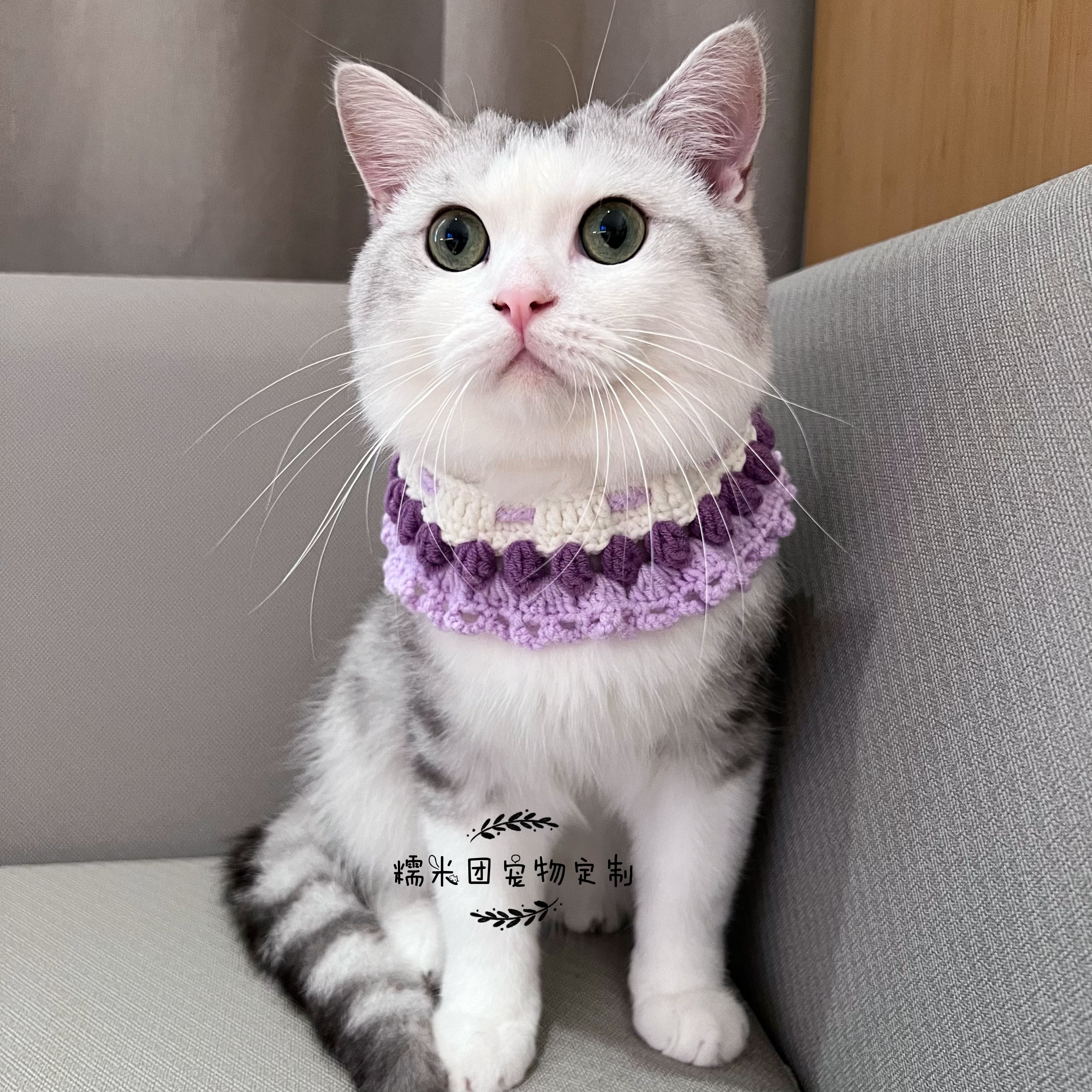 新品手工编织毛线猫咪领结柔软宠物狗狗蝴蝶结项圈长短毛宠物通用