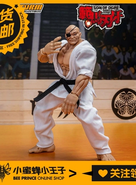 Storm Toys KIBK06 漫画刃牙系列 愚地独歩 可动人偶手办