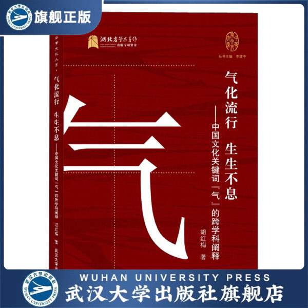 【旗舰正版 现货速发】气化流行 生生不息&mdash;&mdash;中国文化
