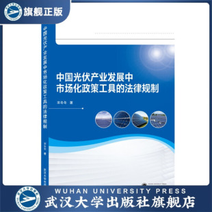 中国光伏产业发展中市场化政策工具 法律规制9787307210486宋冬