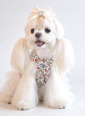 春夏小型犬碎花公主连衣裙