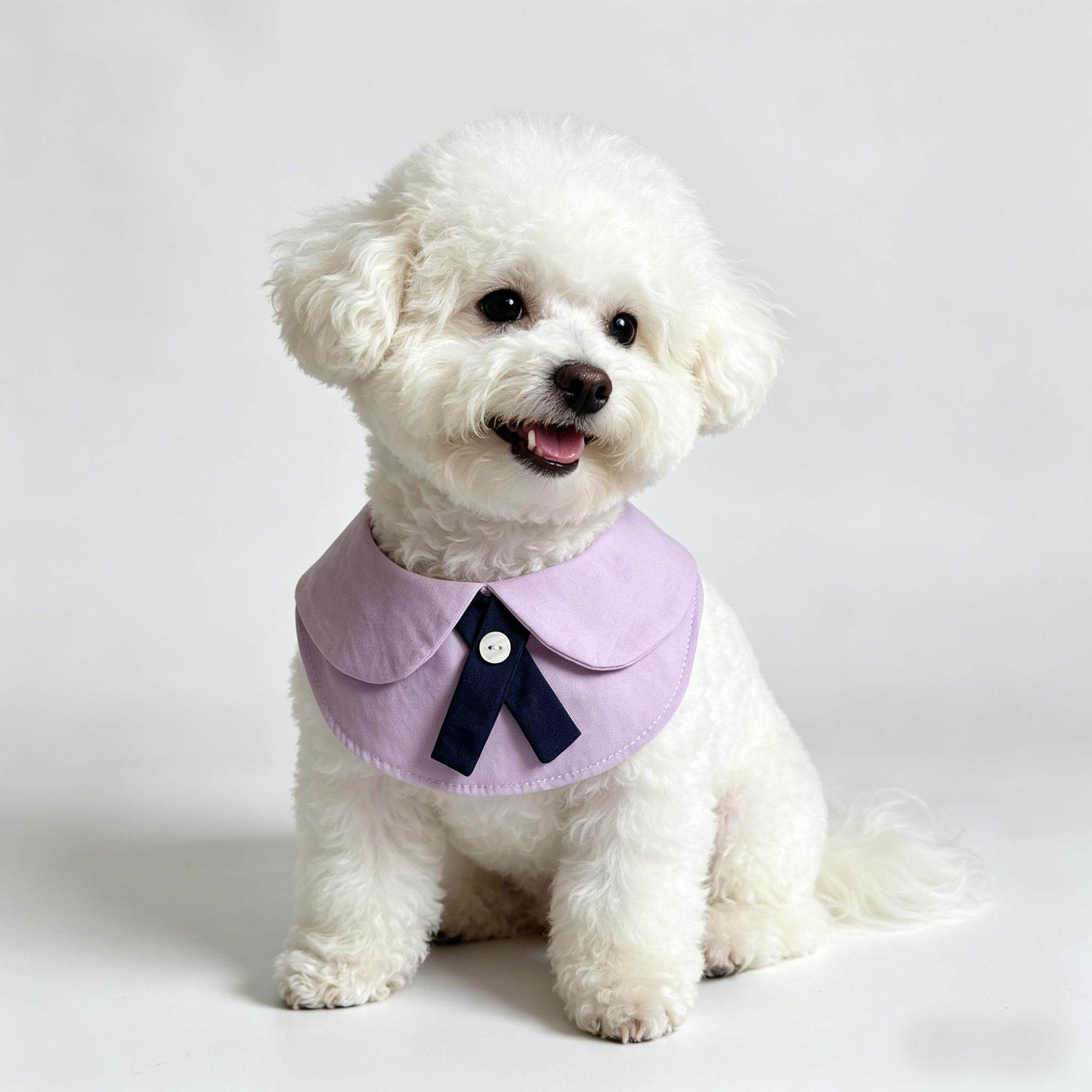 狗狗衣服德文猫咪围脖中小型犬比熊泰迪博美围兜宠物口水巾拍照