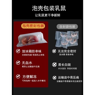 冷冻乳鼠小老鼠幼鼠冰冻小白鼠独立包装喂蛇喂猫喂龟湖南发货