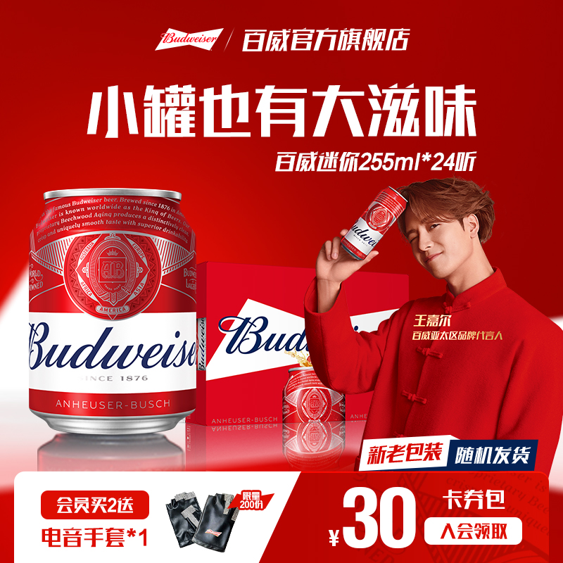 百威啤酒迷你小罐255ml*24