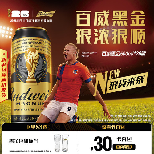 百威黑金啤酒500ml*36听