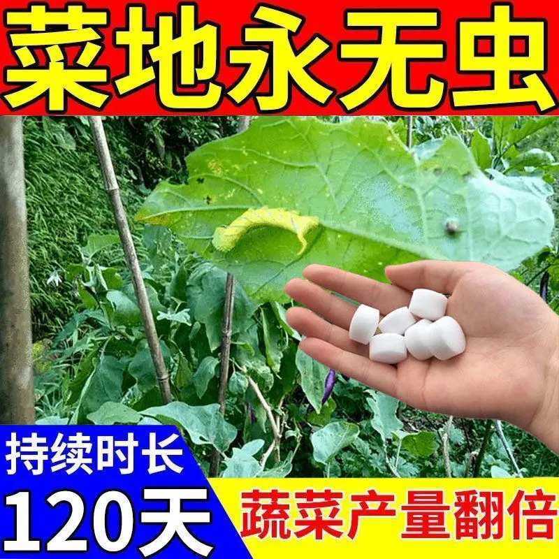 园艺防虫片糖化硼肥片驱虫花卉盆栽驱虫杀虫剂小白药植物通用蛀虫