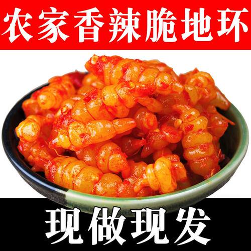 香辣 地环油焖甘露宝塔菜螺丝菜即食下饭菜地牯牛延边酱腌菜泡菜
