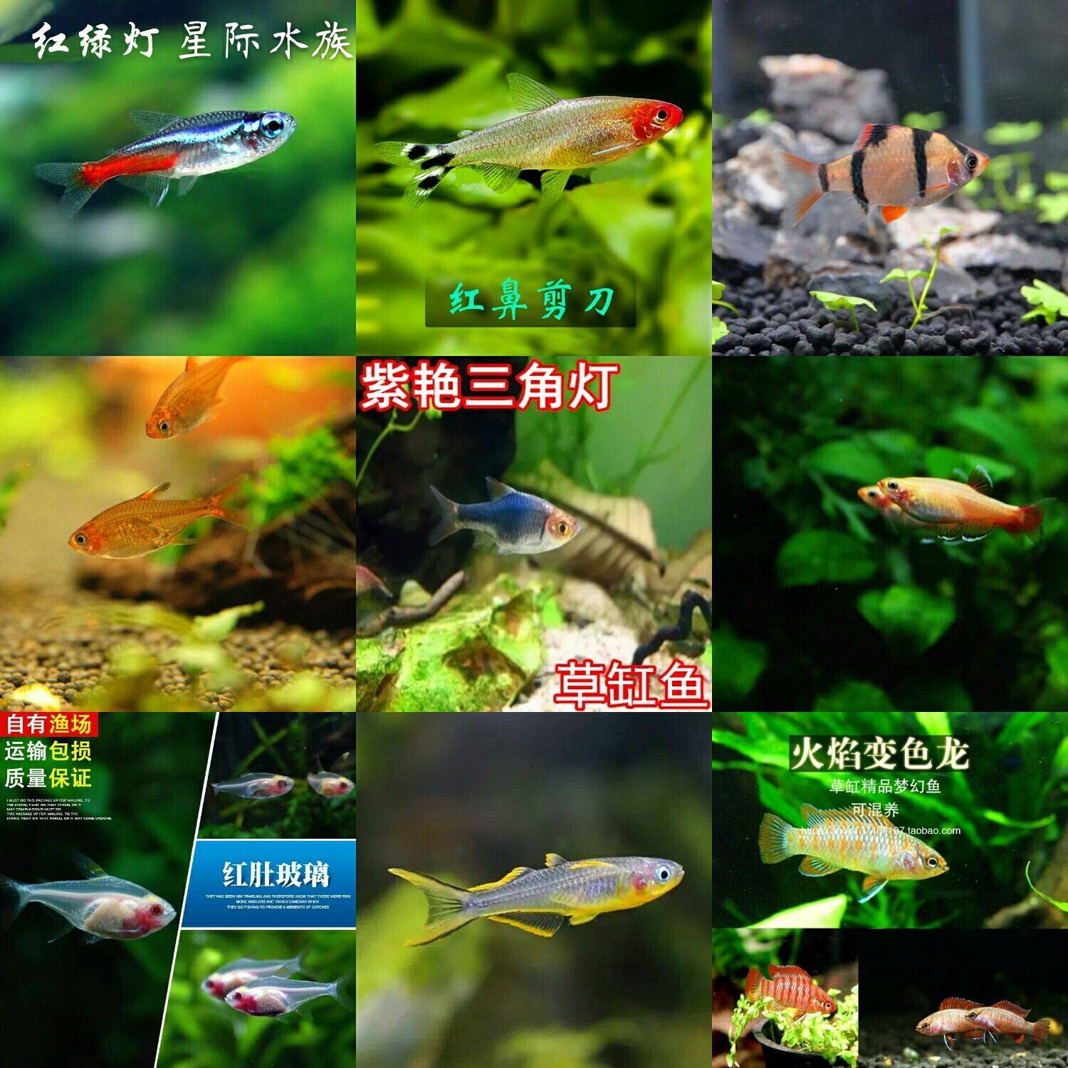 网友分享在meiguo.com的图片