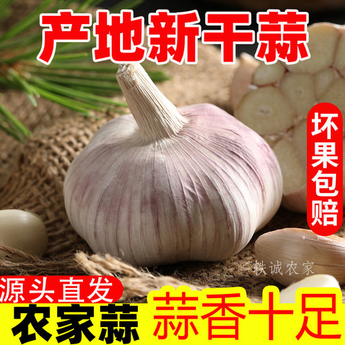 2026年农家新干蒜产地直发