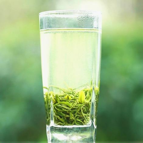 新茶雍品堂汉中炒青明前西乡绿茶