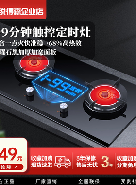 红日红外线台嵌两用定时大面板家用天然气液化气煤气燃气灶608BP