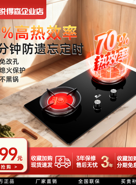 红日红外线燃气灶家用煤气炉免改孔70%热效率节能嵌入式双灶EX26B