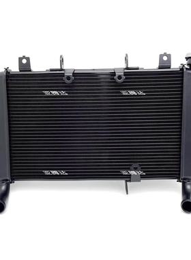 适用本田CB650R CBR650R 水箱总成水改装冷器水箱散热器铝配件