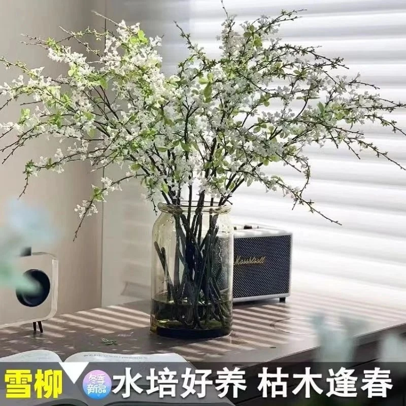 【遇水成活】雪柳盆栽水样开花水培雪花花卉遇水枯木室内绿植xp