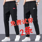 大码 男士 宽松休闲裤 韩版 子男 春秋薄款 潮流百搭运动长裤 弹力直筒裤