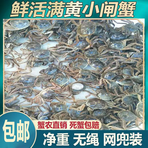【三元公30送5只】鲜活大闸蟹小螃蟹小河蟹小闸蟹香辣小毛蟹醉蟹