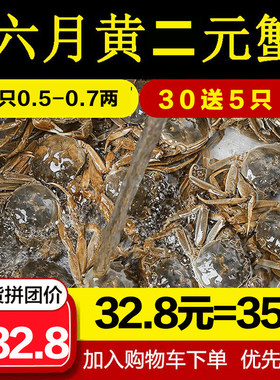 六月黄二元小蟹35只香辣蟹