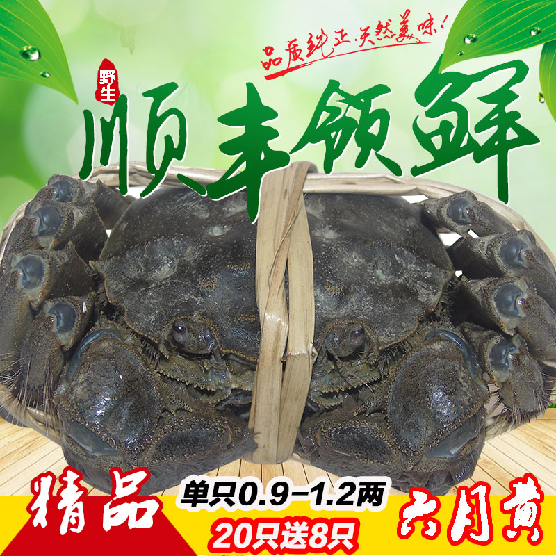 20只送8只螃蟹鮮活陽澄湖大閘蟹現貨秒殺100元以下六月黃河蟹毛蟹