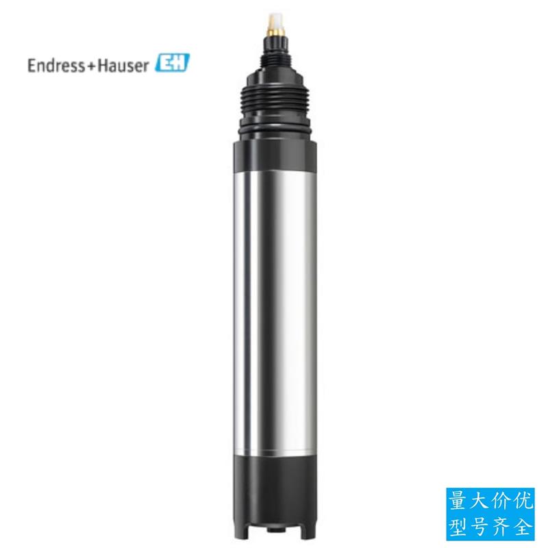 议价E+H溶解氧COS61D-AAA1A3传感器恩德斯豪斯污水探头测量仪全新