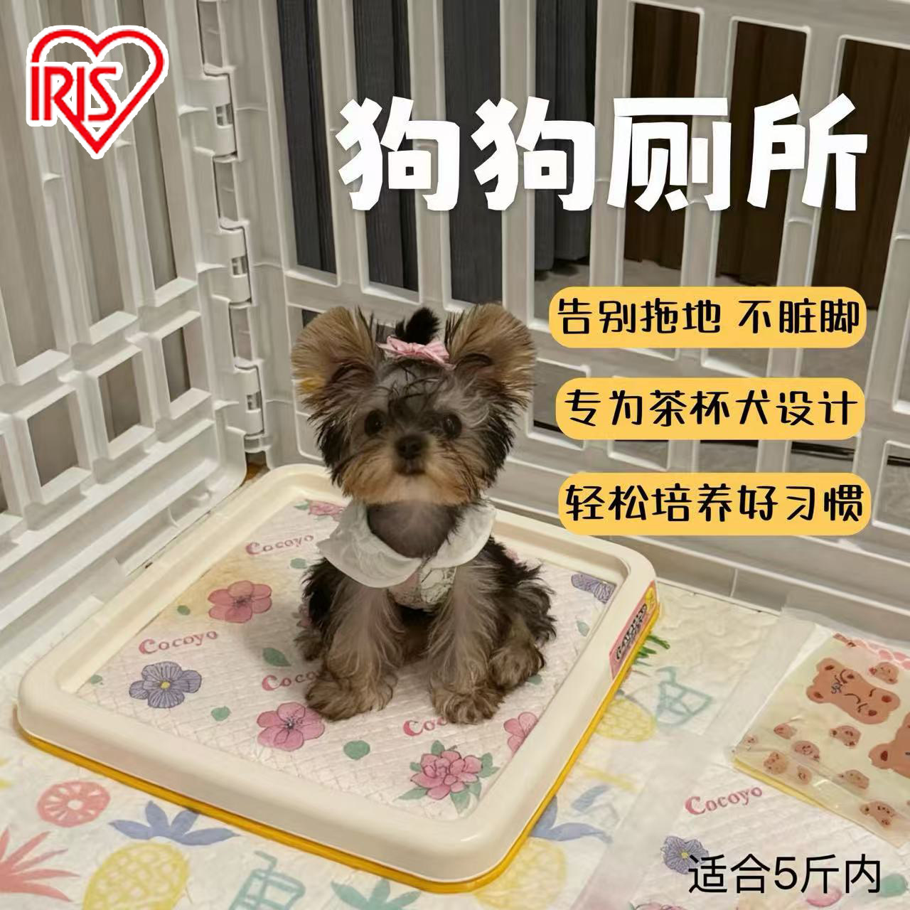 爱丽思狗狗厕所茶杯超小体专用约克夏平板尿尿盆爱丽丝幼犬狗厕所,宠物/宠物食品及用品,狗厕所,淘宝优惠券,粉丝福利购,淘宝优惠卷