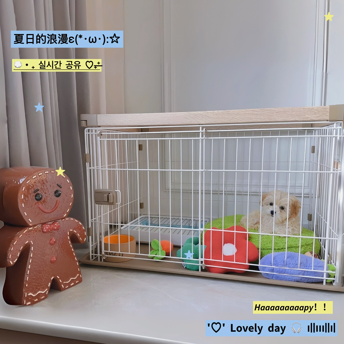 新款iris爱丽丝狗笼子室内IRIS小狗围栏栅栏家用小型中型犬别墅
