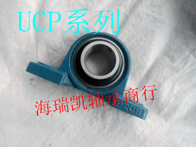 带座21PP5UP 瑞凯外 U21CUUC海U8PP立式21 轴承C21C220C 67球面