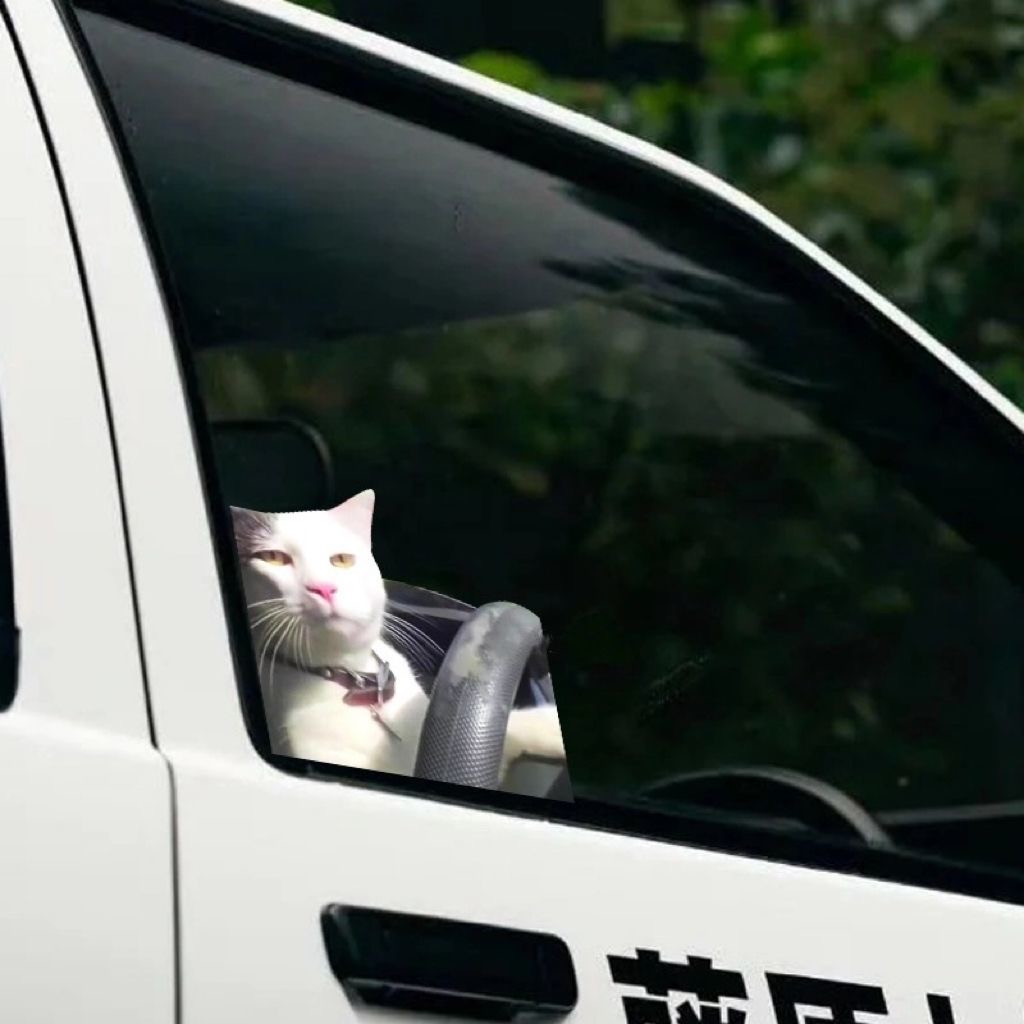 反光车贴开车猫meme表情包搞笑装饰机箱电动防水汽车贴纸