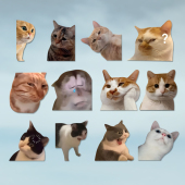 可爱搞笑迷因MEME猫猫咪惊讶表情个性 创意车贴笔记本行李箱贴纸