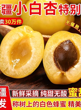 新疆小白杏子新鲜水果应当季轮台库车白杏子甜杏胜小红杏空运包邮