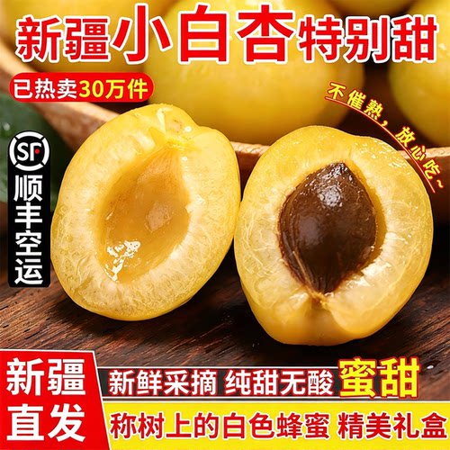 新疆小白杏子新鲜水果应当季白杏