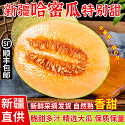 正宗新疆哈密瓜新鲜一箱吐鲁番西州蜜25号应当季现摘蜜瓜整箱包邮