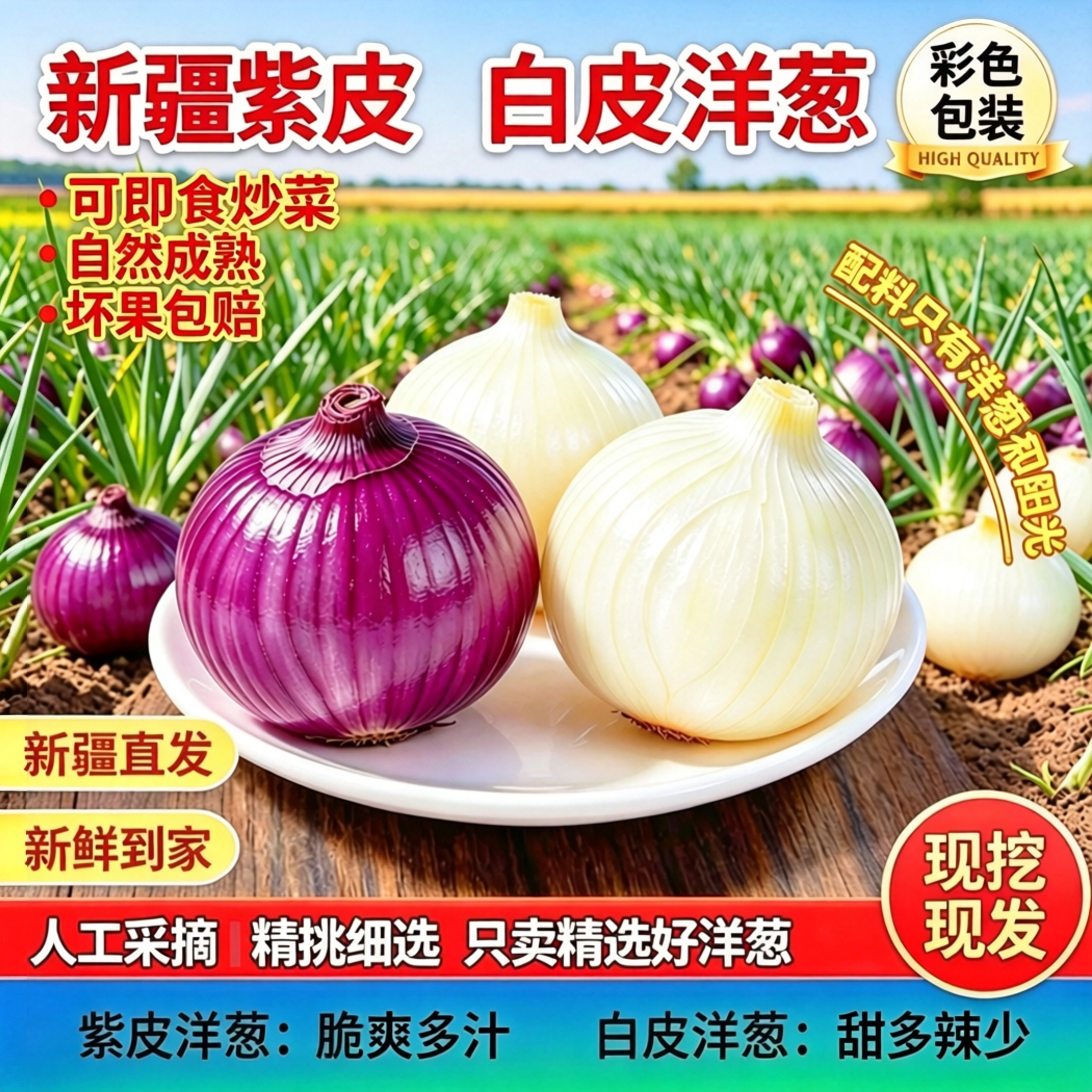 新疆紫皮洋葱皮牙子白洋葱缸子肉手抓饭配菜双拼农家自种圆葱蔬菜