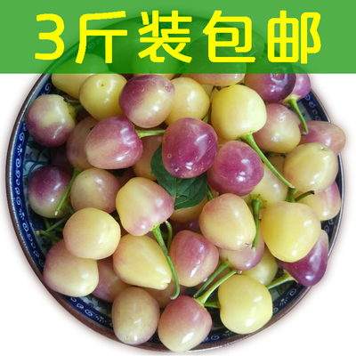斤装新鲜七彩椒广西特产
