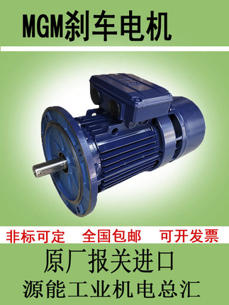 Italian Original Imported Mgm Three-Phase Asynchronous Brake Motor, Special Pitch Control and Yaw Control Motor for Wind Power
